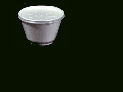 Foam Container