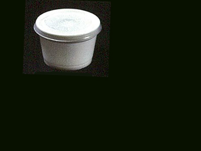 Foam Container