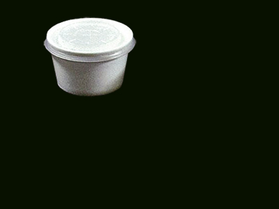 Foam Container