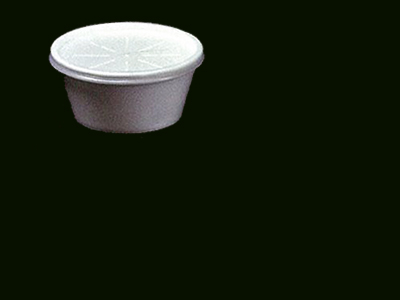 Foam Container
