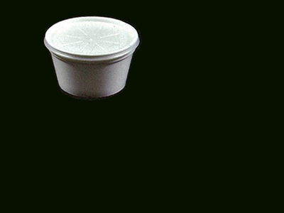 Foam Container