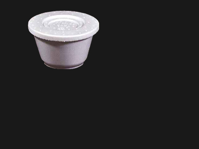 Foam Container