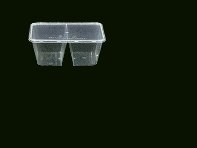 Container