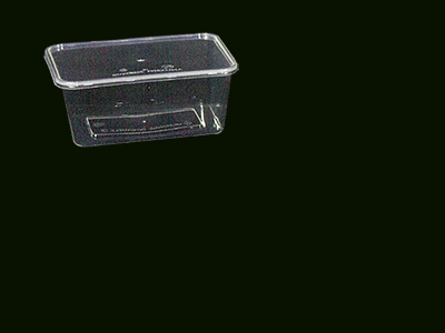 Container