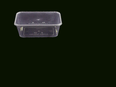 Container