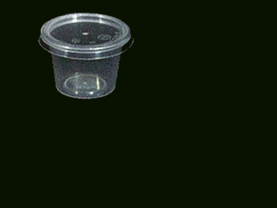 Container