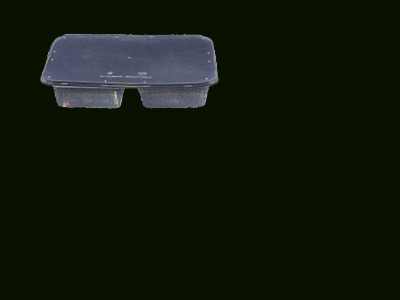 Container