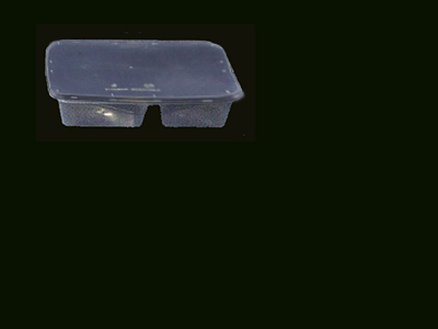 Container