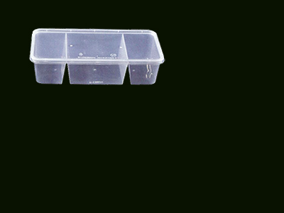 Container
