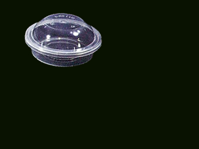 Container