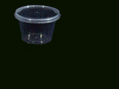 Container