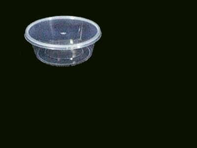 Container