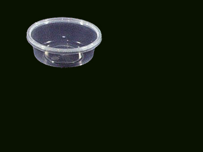 Container