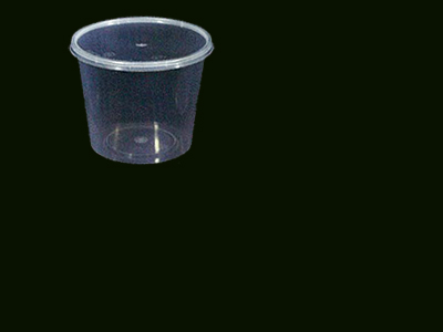 Container