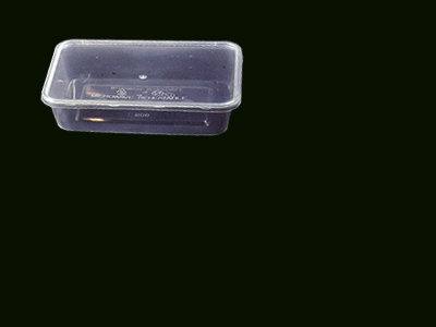 Container