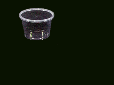 Container