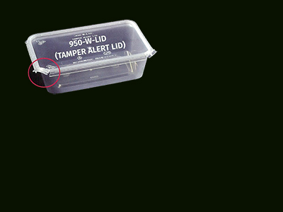 Container