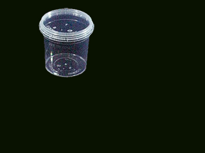 Container