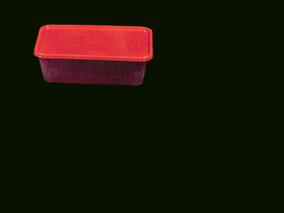 Container