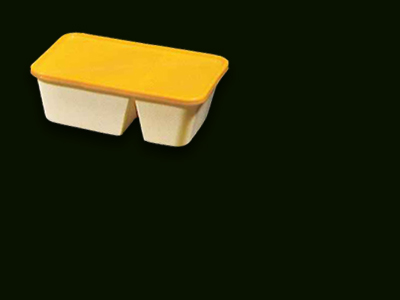 Container