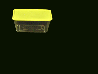 Container