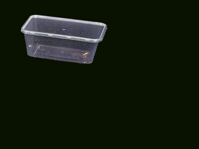 Container