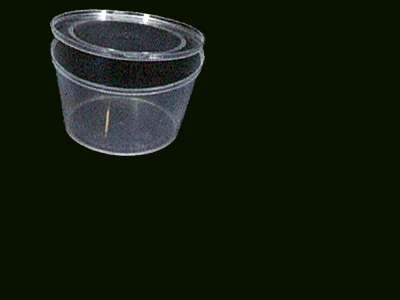 Container