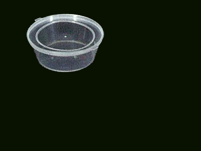 Container