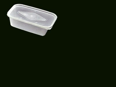 Container