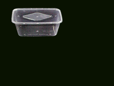 Container