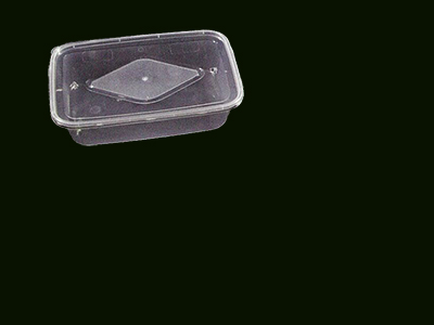 Container