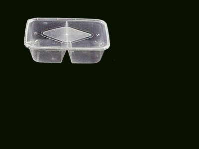 Container