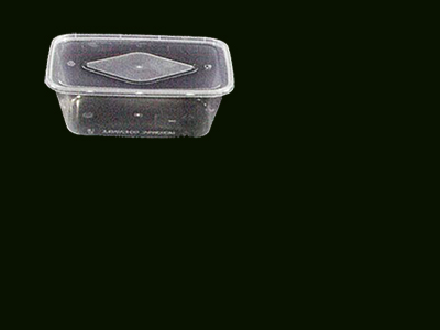 Container