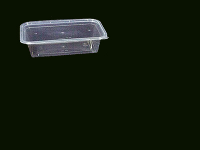 Container