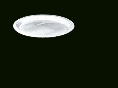 Oval Plate