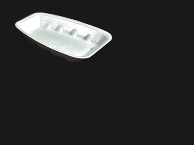 Food Tray