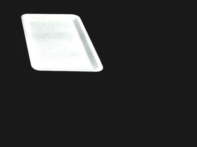 Food Tray