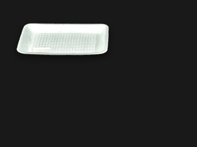 Food Tray