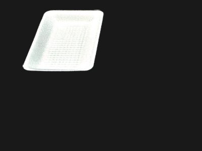 Food Tray