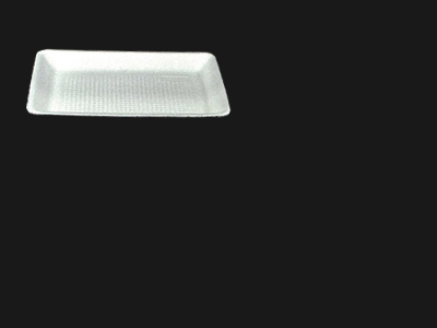Food Tray