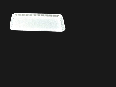 Food Tray