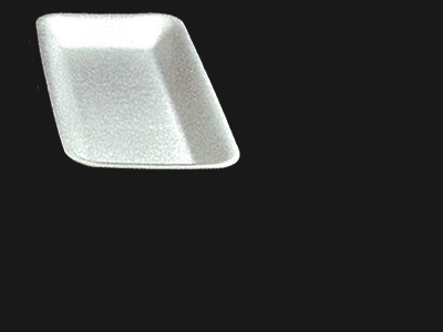 Food Tray