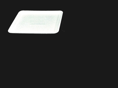 Food Tray