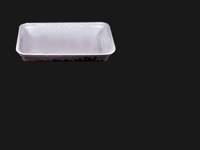 Food Tray