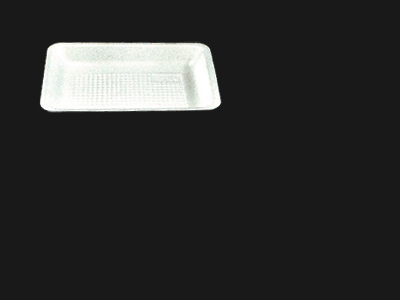 Food Tray