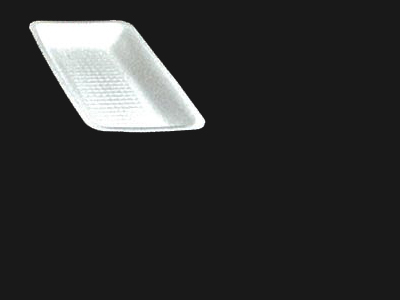 Food Tray