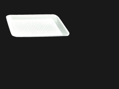 Food Tray