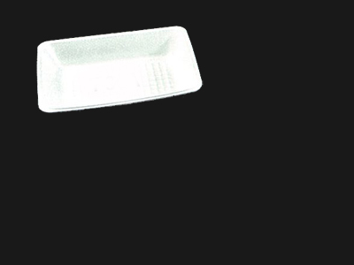 Food Tray