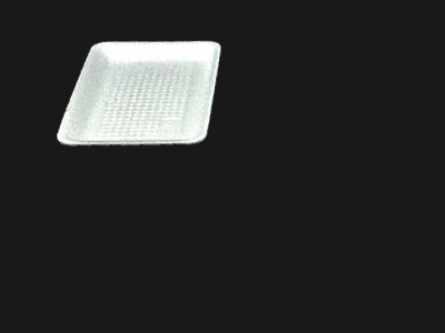 Food Tray