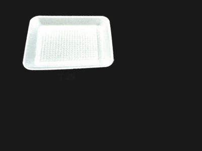 Food Tray